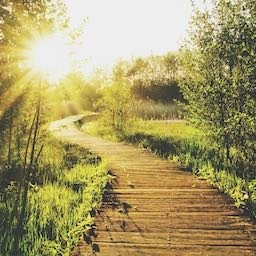 Kirsty Millar - Independent Celebrant